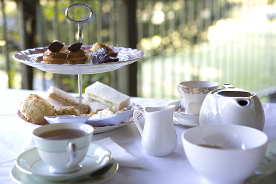 Tranquility High Tea with Emilia Krumm Sep 2018 @ Forest of Tranquility | Ourimbah | New South Wales | Australia