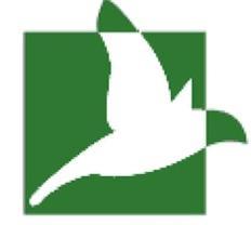 Forest of Tranquility Bird Logo